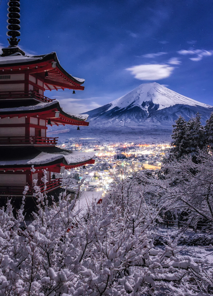 月光の下