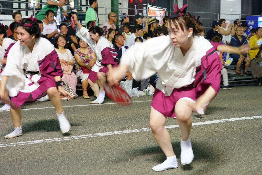 徳島阿波おどり4