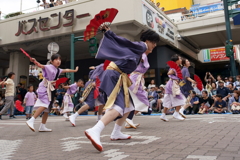 にいがた総おどり６