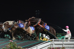 帯広馬場競馬