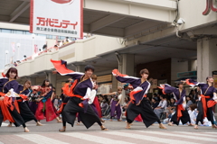 にいがた総おどり１０