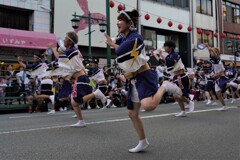 徳島阿波おどり2