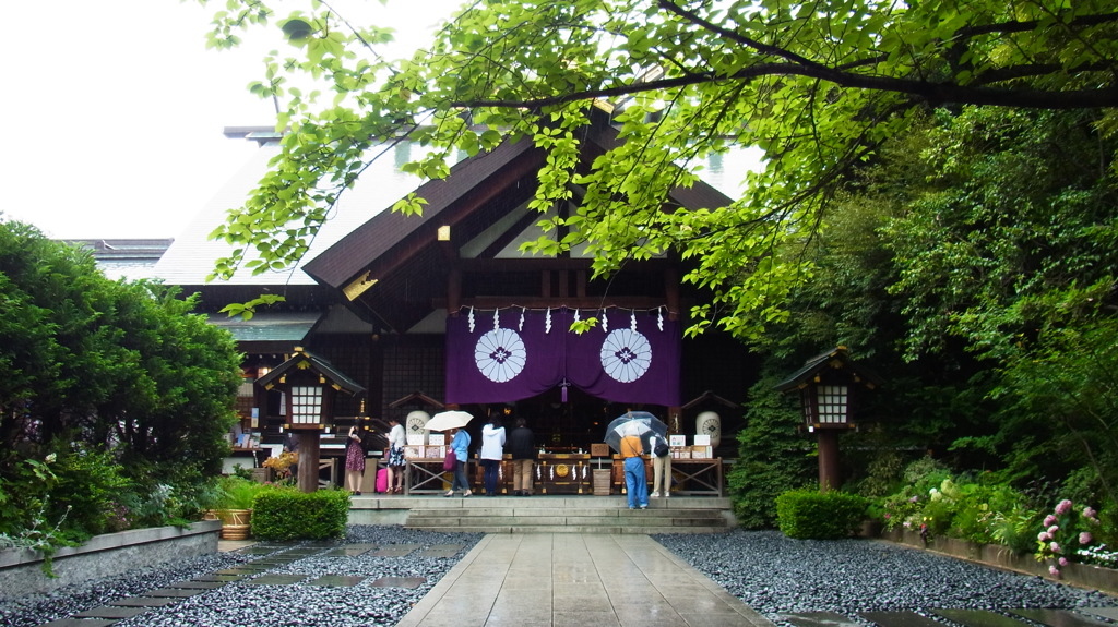 雨の巡礼。