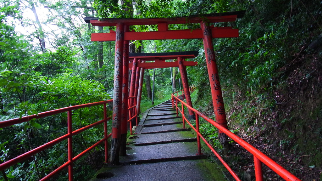 雨の赤門。