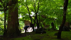 朝のお勤め。