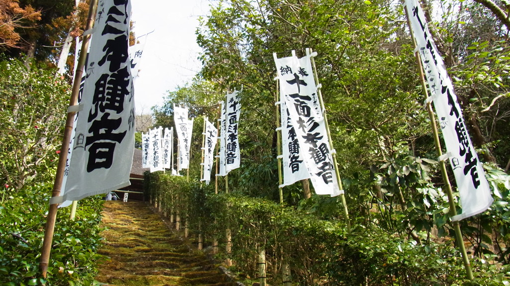 苔の階段。