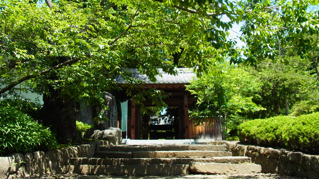 新緑の山門