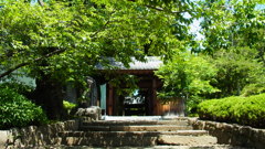 新緑の山門