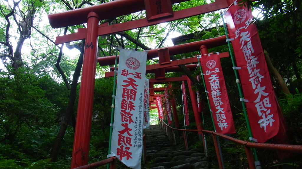 朝の赤