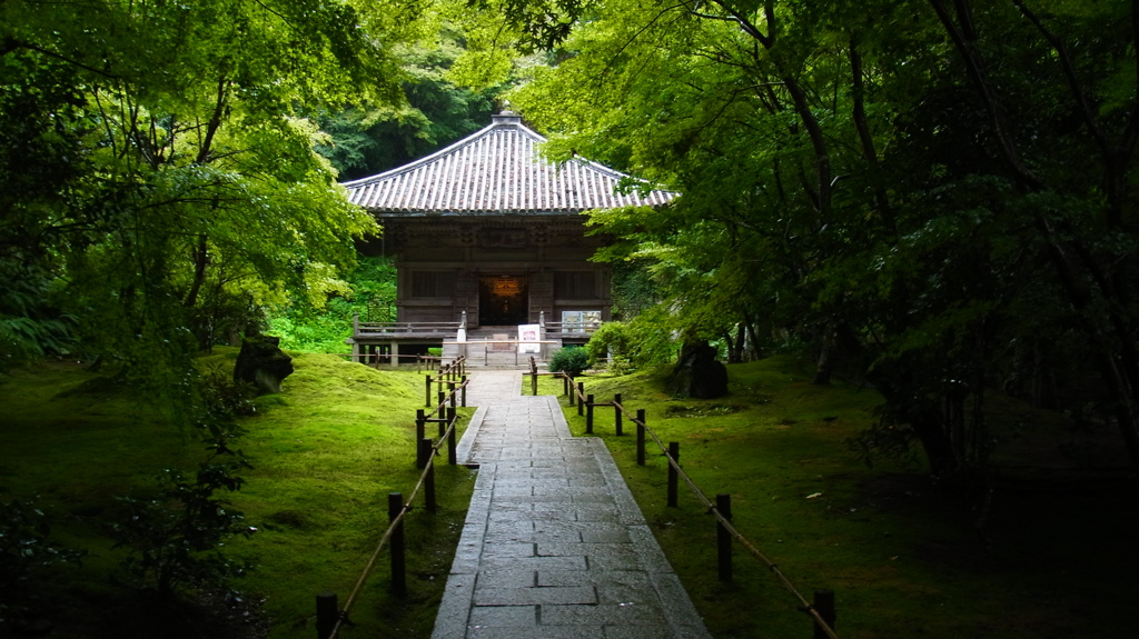 緑道。