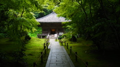 緑道。