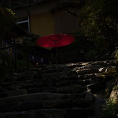 C2F25B38-58E3-46D9-A208-15615E23E038