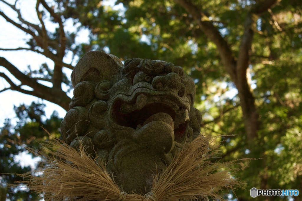 凜 -lin-