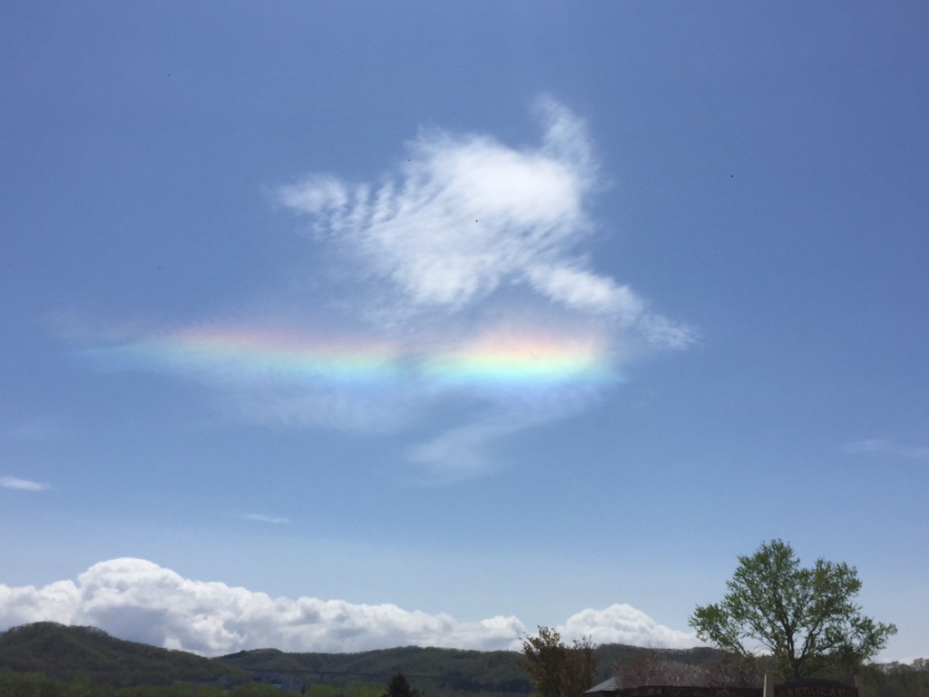 CBC19359-4B4D-45D1-BFBB-D2CD51632416