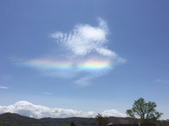 CBC19359-4B4D-45D1-BFBB-D2CD51632416