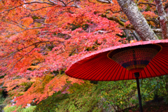 紅葉の下で一服