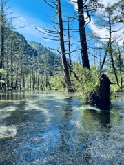 田代池
