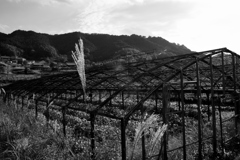 frame house