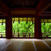 談山神社　新緑