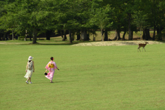 奈良　夏