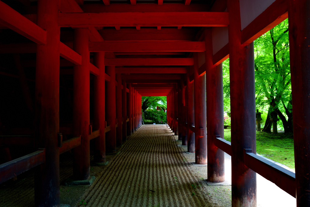 新緑回廊