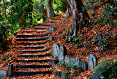 晩秋の九品寺２