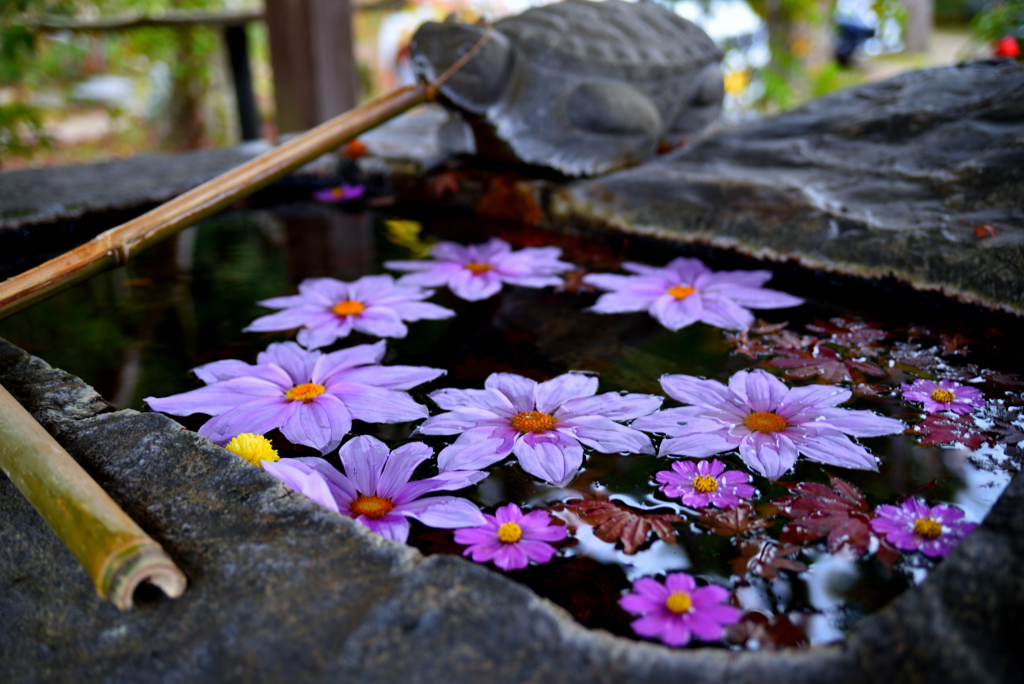 等彌(とみ)神社
