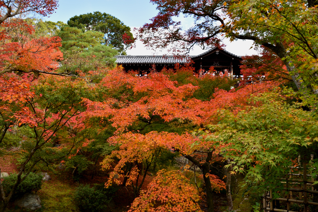東福寺