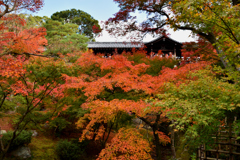 東福寺