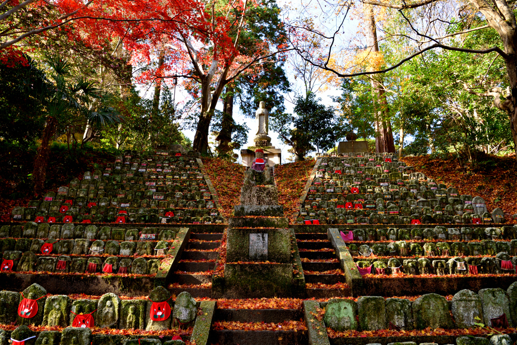 晩秋の九品寺