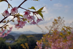 飛鳥より大津皇子眠る二上山