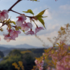 飛鳥より大津皇子眠る二上山