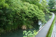 浮島散策　臼井弘文