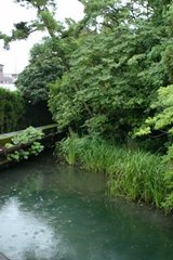 雨水　臼井弘文