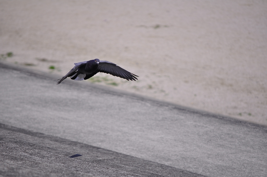 Landing