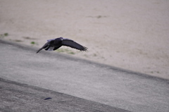 Landing
