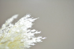 光芒
