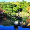 夢窓国師とsky blue