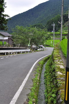 棚田を撮る人を撮る人