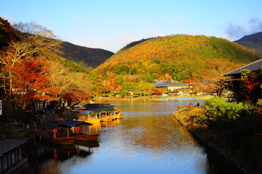 紅葉の朝