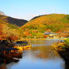 紅葉の朝