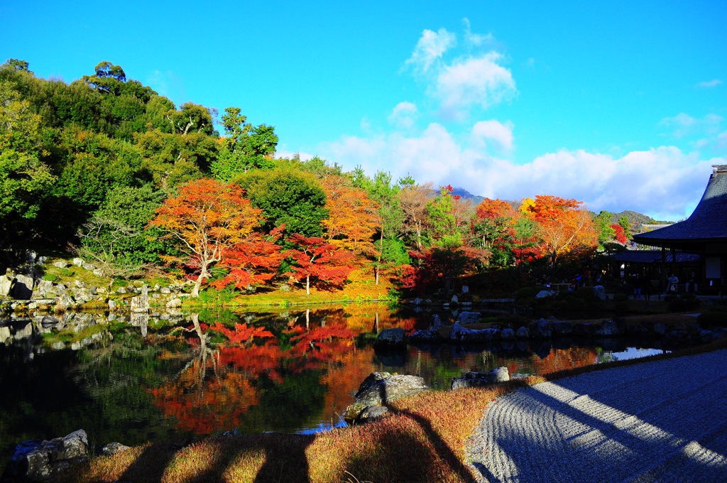 曹源池庭園 紅葉