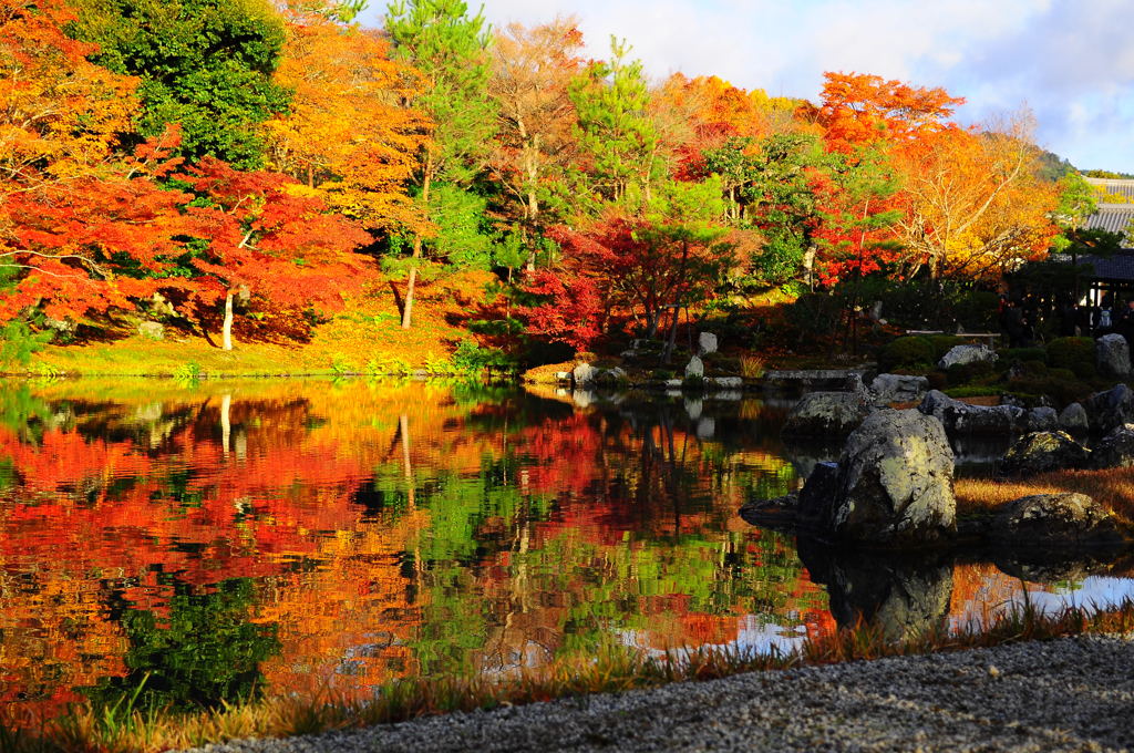 Autumn