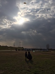 kite