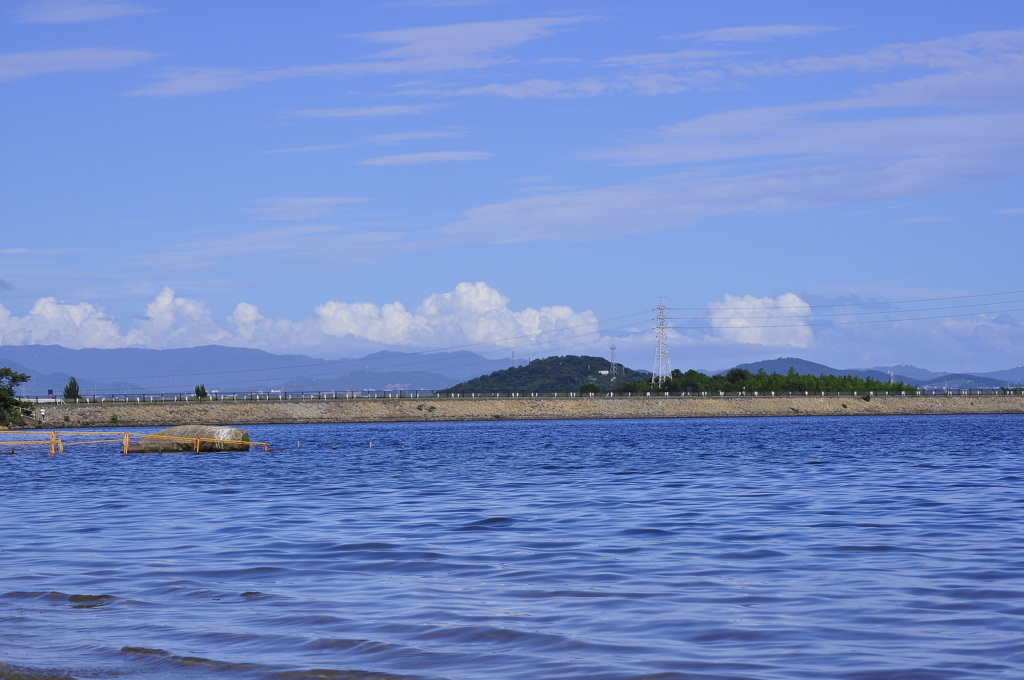 Lake shore夏