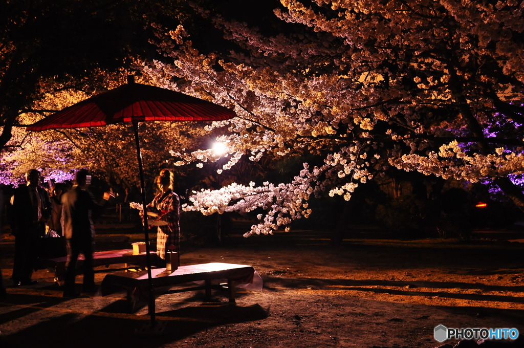 茶処と夜桜