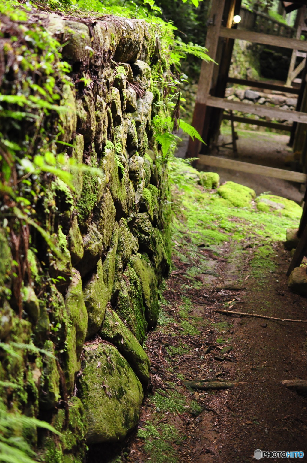 神社仏閣