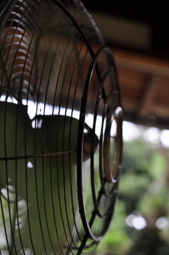 Fan