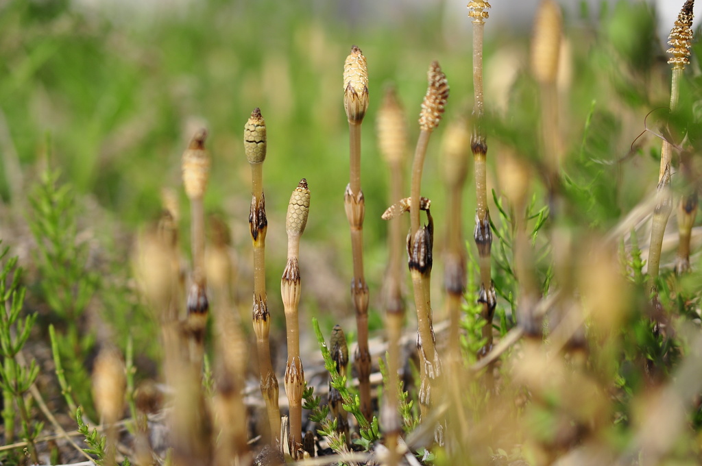 弘法筆を選ばず