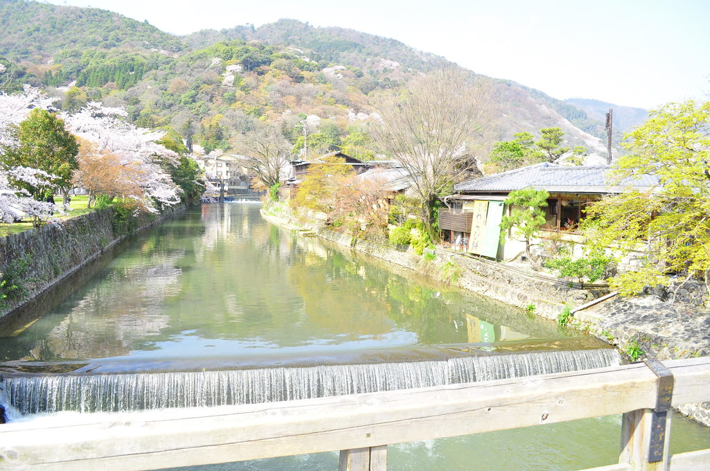 川と桜